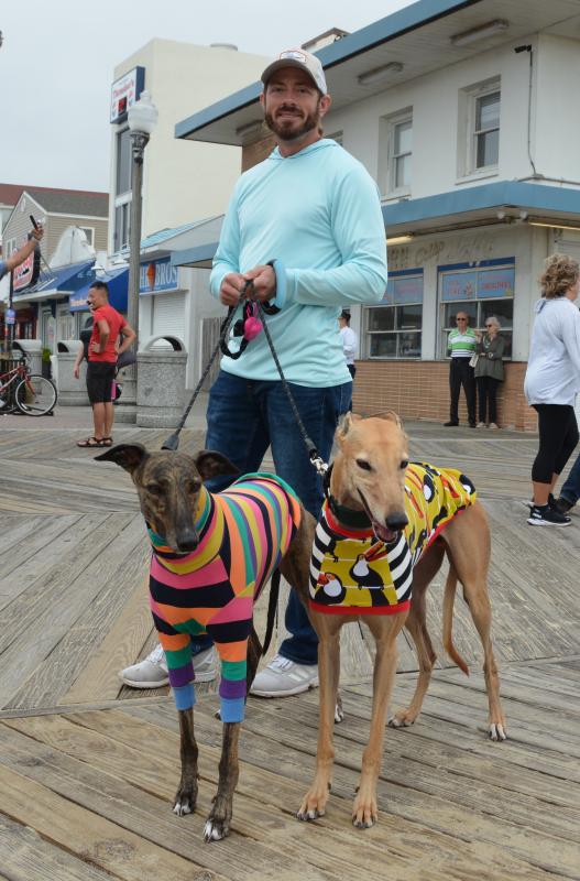 Greyhounds Reach the Beach a success in Rehoboth Cape Gazette